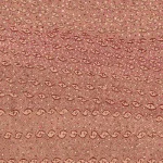 Durrmu (KK) Terra