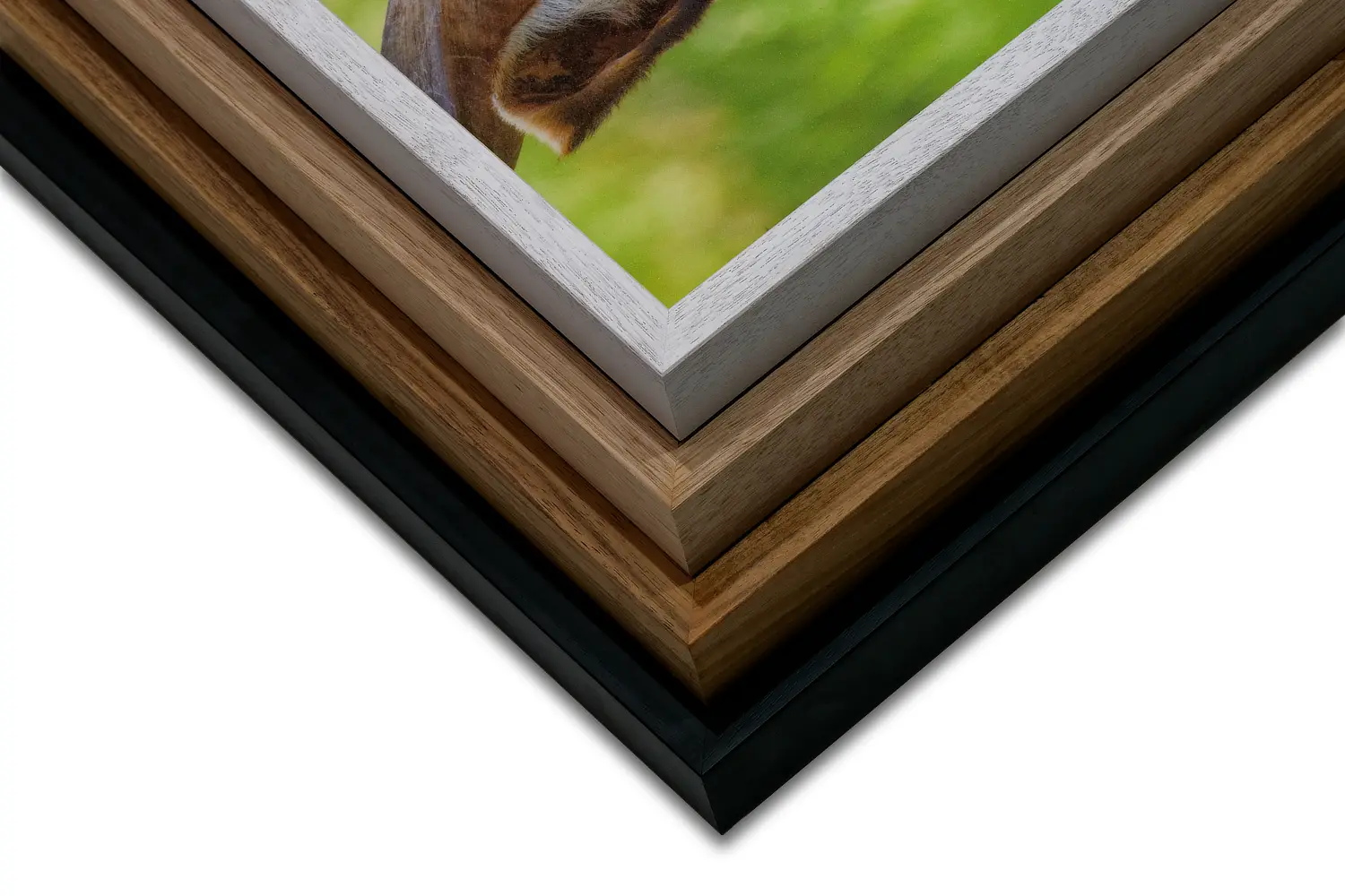 Acoustic Wall Art Framing Options