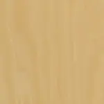 Hoop Pine