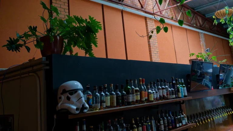 Case Study: Mixtape Brewing & Bar