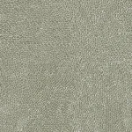 Native Seeds Olive