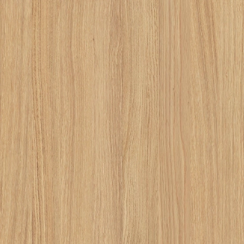 Tasmanian Oak