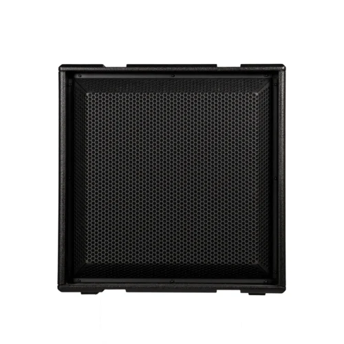 dBTechnologies INGENIA IGS1 Active Subwoofer