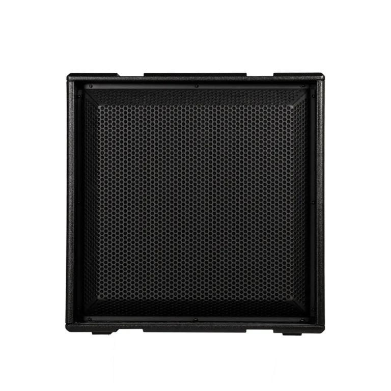 dBTechnologies INGENIA IGS1 Active Subwoofer