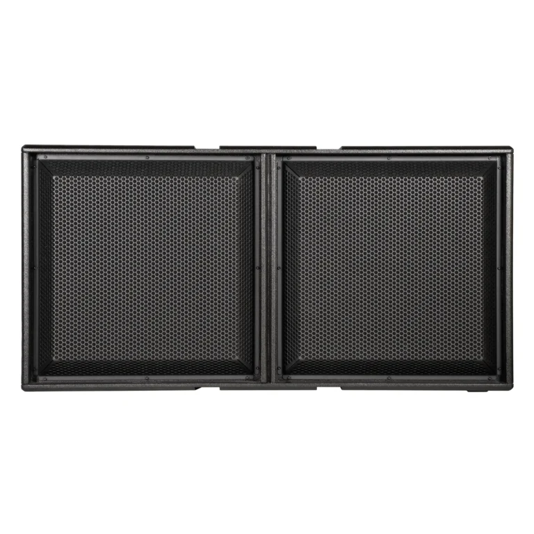 dBTechnologies INGENIA IGS2 Active Subwoofer