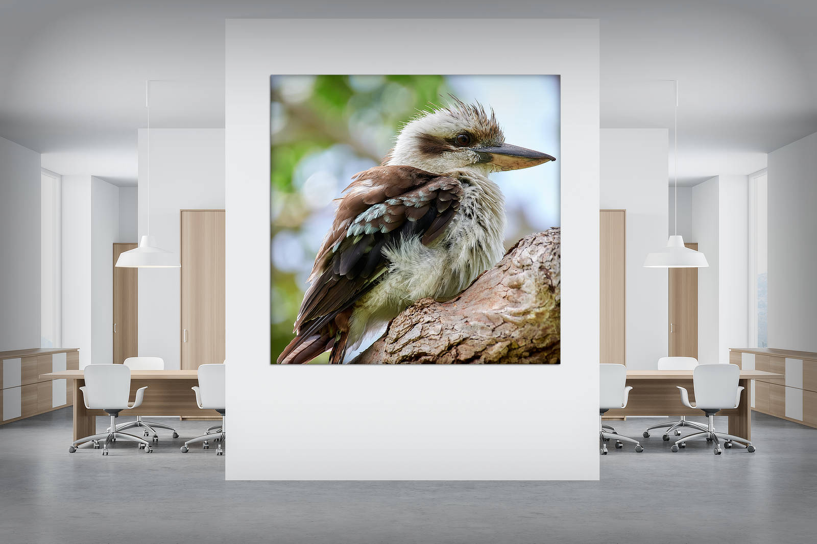 Bob The kookaburra Acoustic Panel