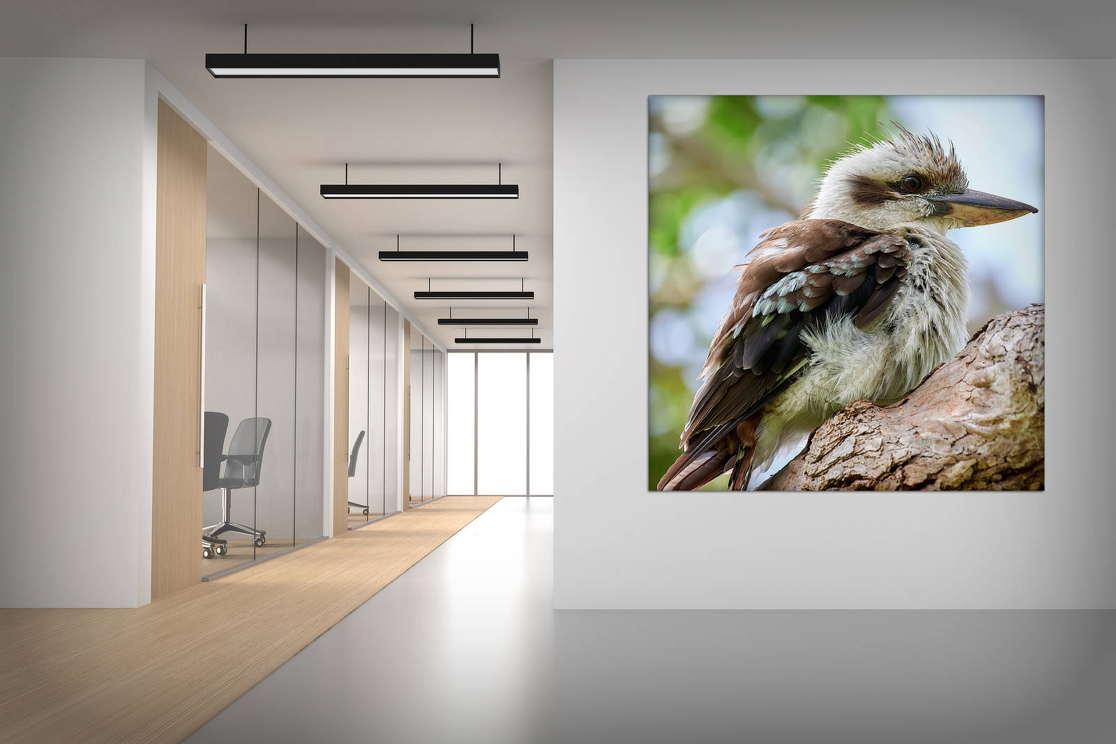 Bob The kookaburra Acoustic Panel