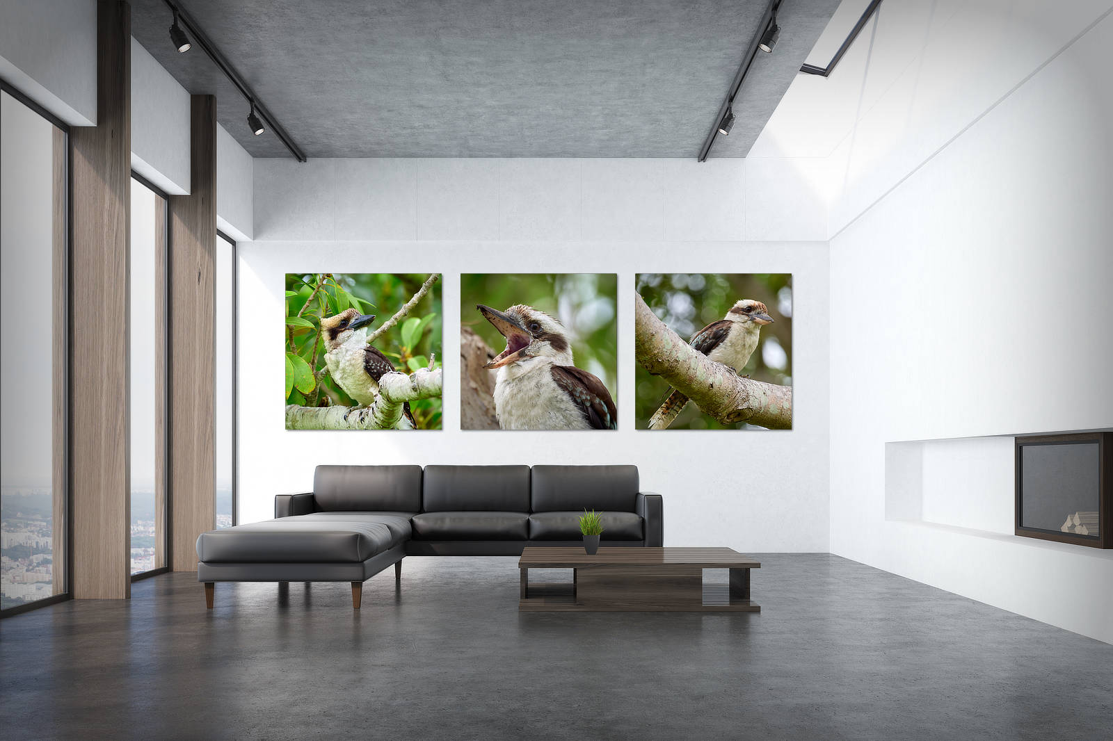 Curious Kookaburra Acoustic Panel