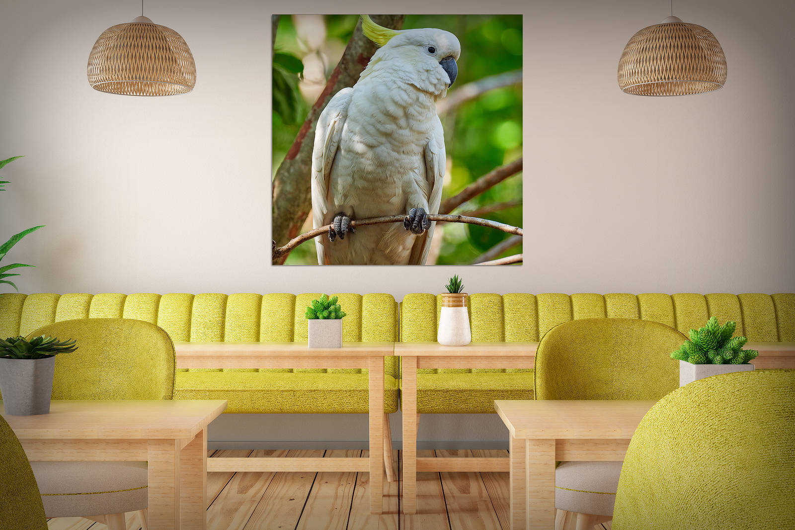 Sulphur Crested Cockatoo Acoustic Panel