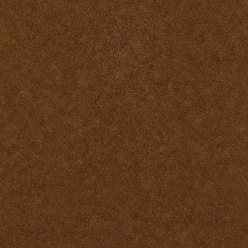 Bark