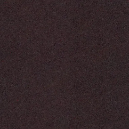 Elderberry