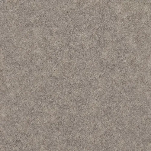 Fossil