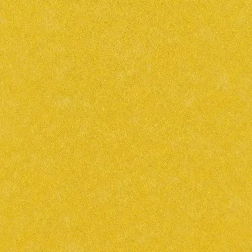 Sunshine